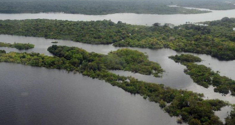 Missão diplomática faz visita à Amazônia Ocidental