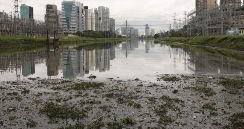 SP: máquina para capturar pernilongos está em testes no Rio Pinheiros